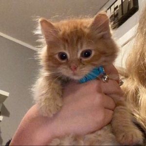 Meet your Posher, Jenna